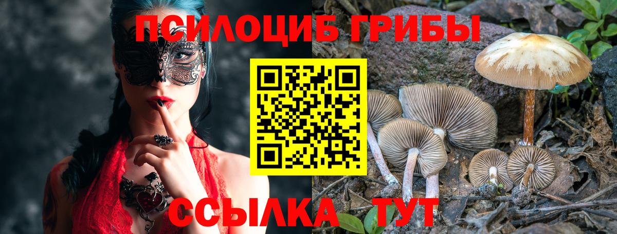 Галлюциногенные грибы мицелий Тверь