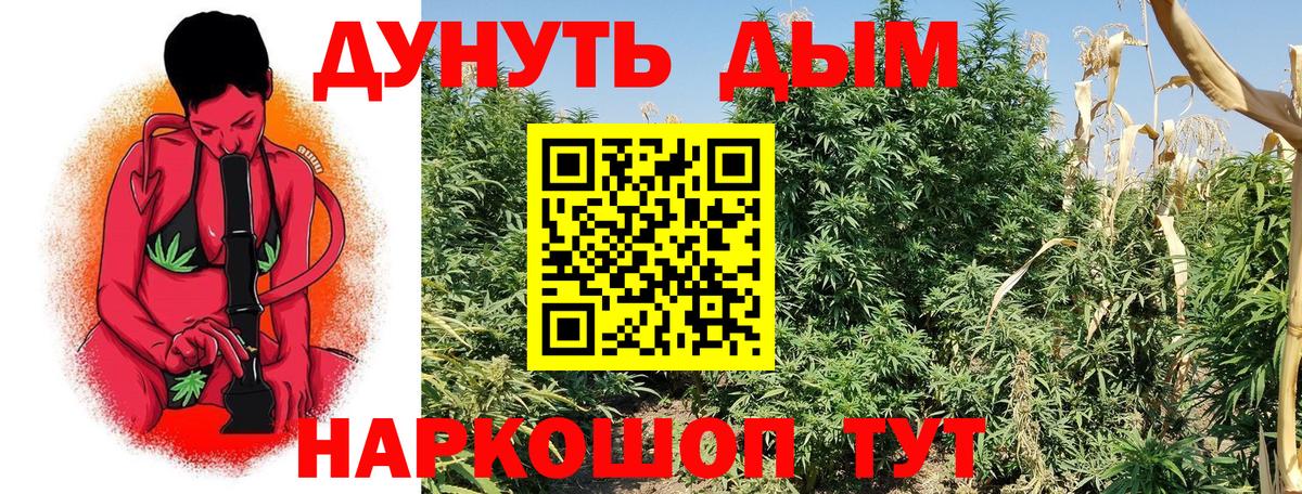 Бошки марихуана Ganja  Каннабис индика  Тверь  Вход с VPN  Бошки Шишки ГИДРОПОН 